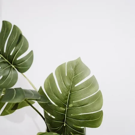 Brezza Nocleg ze śniadaniem